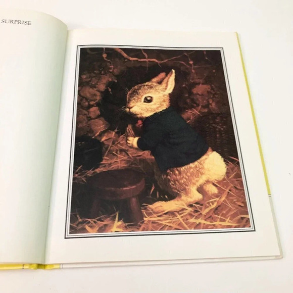 Vtg Peter Cottontails Surprise Greg Hildebrandt Book - Picture 13 of 16